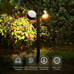 DualBeam Solar Powered Landscape Spotlight