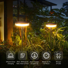Cylinder Solar Powered Path Light