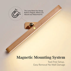 Brushed Touch Control Battery Operated Wall Sconce