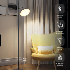 Slim Bluetooth Connectivity Floor Lamp