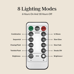 Spider Web Lights with Remote Control