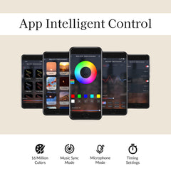 Slim Bluetooth Connectivity Floor Lamp